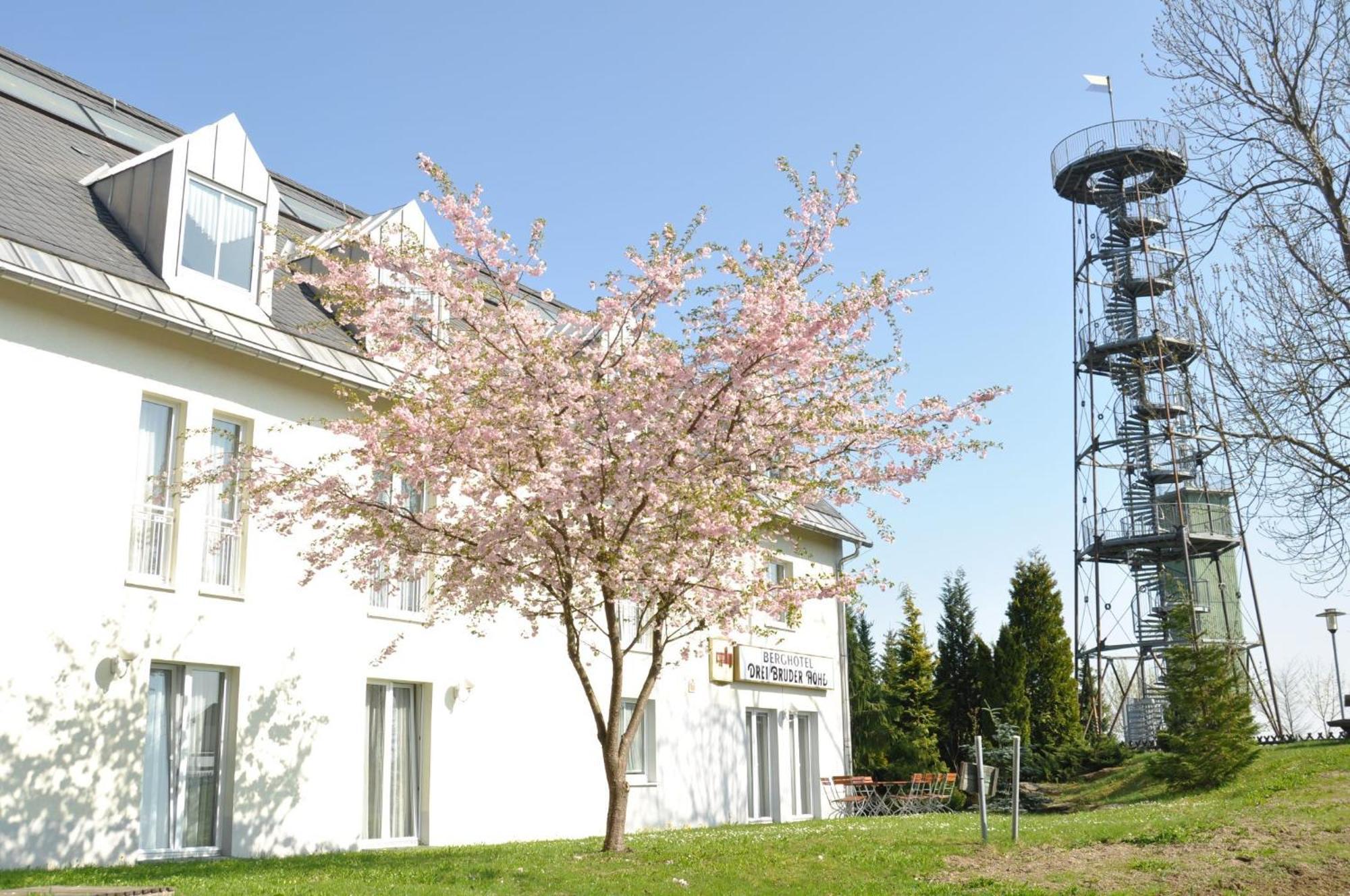 Berghotel Drei Brueder Hoehe Marienberg Ngoại thất bức ảnh